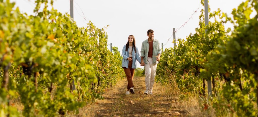 couple walking through vineyard holding hands. couples accommodation
