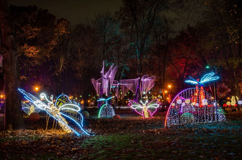 Lightscape royal botanic gardens Victoria.